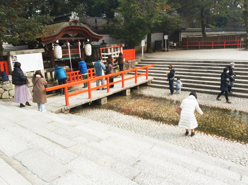 下鴨神社の水みくじ