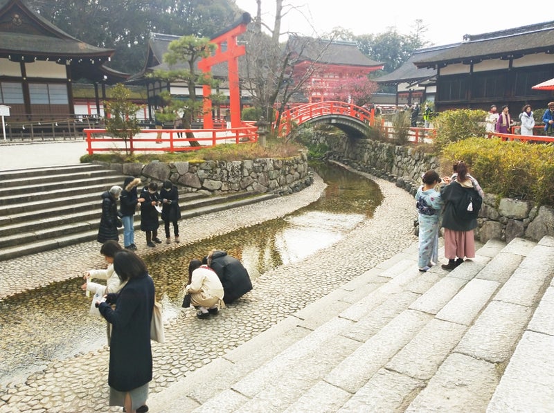 下鴨神社の水みくじ