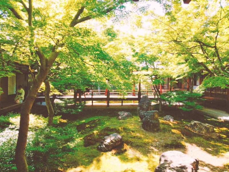 京都・建仁寺