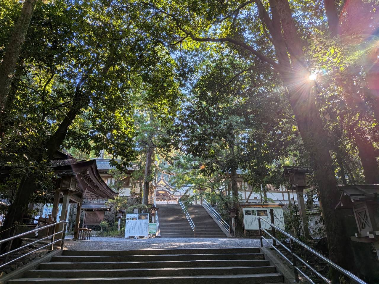 奈良県桜井市・大神神社の参道に差し込む木もれ日